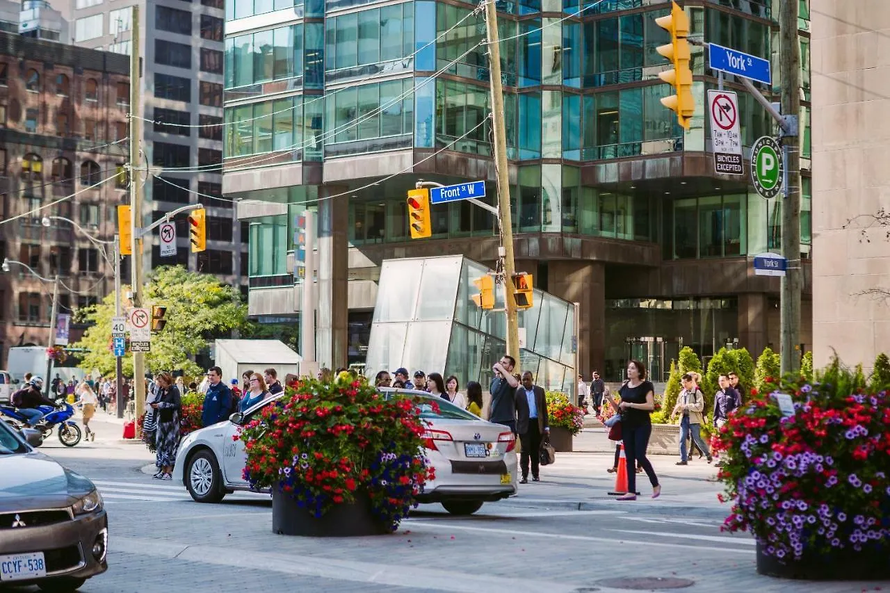Luxurious 2-Bedroom Condo Toronto Apartment